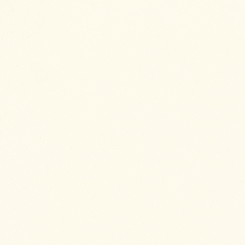 Custard